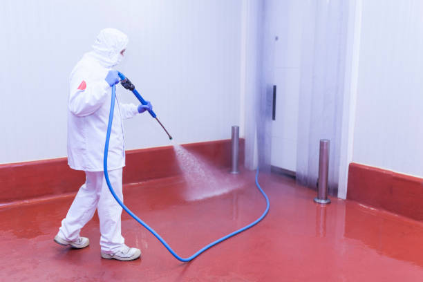 Best Paint Preparation  in Ridgway, PA